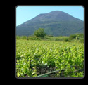 ingrandisci