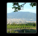 ingrandisci