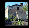 ingrandisci